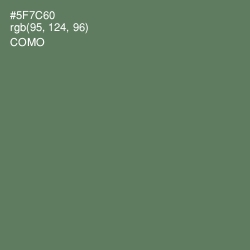 #5F7C60 - Como Color Image