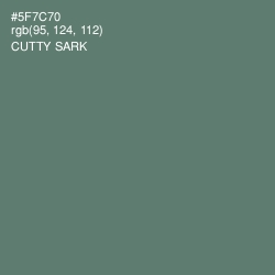 #5F7C70 - Cutty Sark Color Image