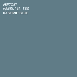 #5F7C87 - Kashmir Blue Color Image