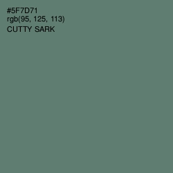 #5F7D71 - Cutty Sark Color Image