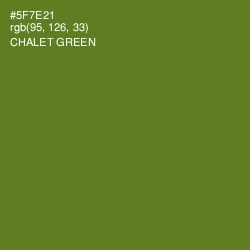 #5F7E21 - Chalet Green Color Image
