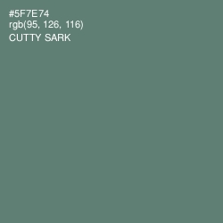 #5F7E74 - Cutty Sark Color Image