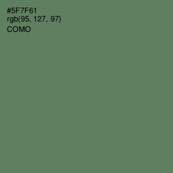 #5F7F61 - Como Color Image