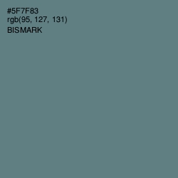 #5F7F83 - Bismark Color Image