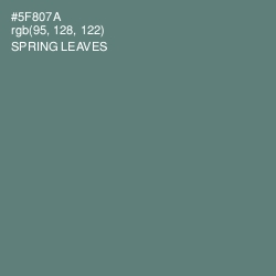 #5F807A - Spring Leaves Color Image