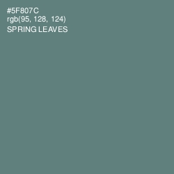 #5F807C - Spring Leaves Color Image