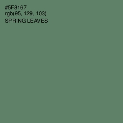 #5F8167 - Spring Leaves Color Image