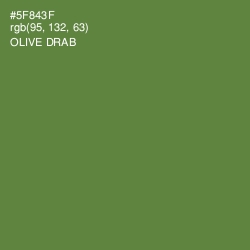 #5F843F - Olive Drab Color Image