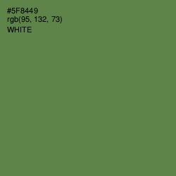 #5F8449 - Hippie Green Color Image