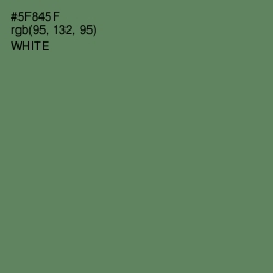 #5F845F - Hippie Green Color Image