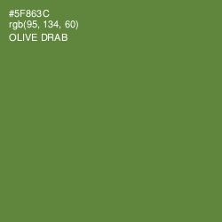 #5F863C - Olive Drab Color Image