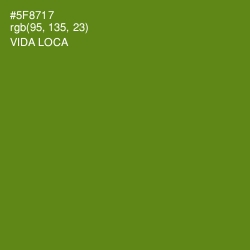 #5F8717 - Vida Loca Color Image