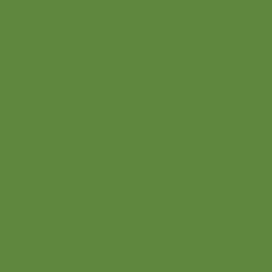 #5F873D - Olive Drab Color Image