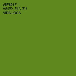 #5F891F - Vida Loca Color Image