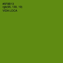 #5F8B13 - Vida Loca Color Image