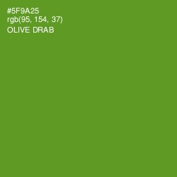 #5F9A25 - Olive Drab Color Image