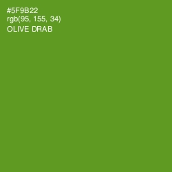 #5F9B22 - Olive Drab Color Image