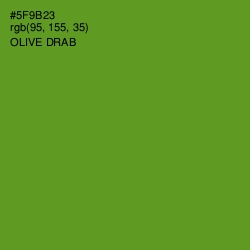 #5F9B23 - Olive Drab Color Image