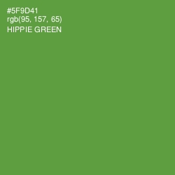 #5F9D41 - Hippie Green Color Image