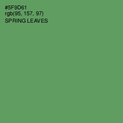 #5F9D61 - Spring Leaves Color Image