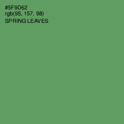 #5F9D62 - Spring Leaves Color Image