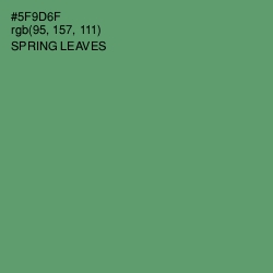 #5F9D6F - Spring Leaves Color Image