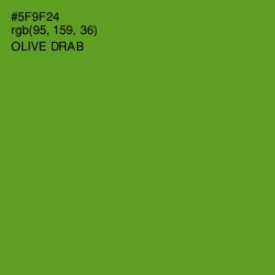 #5F9F24 - Olive Drab Color Image