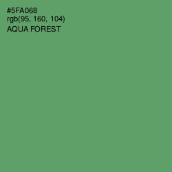 #5FA068 - Aqua Forest Color Image