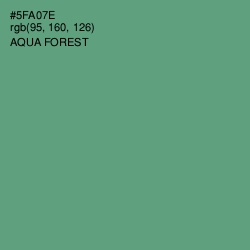 #5FA07E - Aqua Forest Color Image