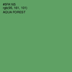#5FA165 - Aqua Forest Color Image