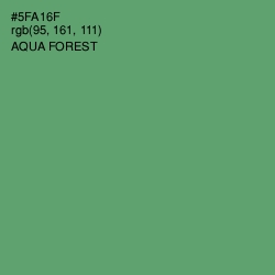 #5FA16F - Aqua Forest Color Image