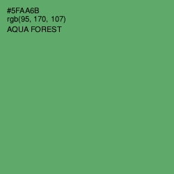 #5FAA6B - Aqua Forest Color Image