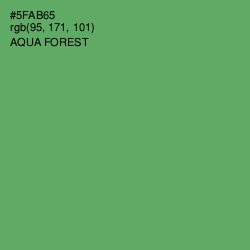 #5FAB65 - Aqua Forest Color Image