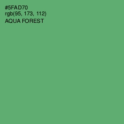 #5FAD70 - Aqua Forest Color Image