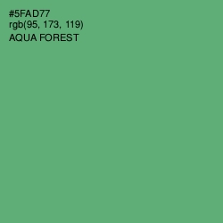 #5FAD77 - Aqua Forest Color Image