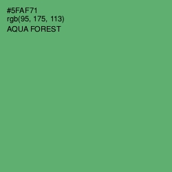 #5FAF71 - Aqua Forest Color Image