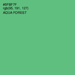 #5FBF7F - Aqua Forest Color Image