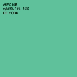#5FC19B - De York Color Image