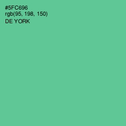 #5FC696 - De York Color Image