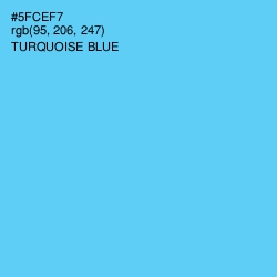 #5FCEF7 - Turquoise Blue Color Image