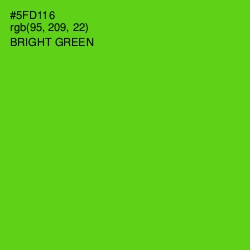 #5FD116 - Bright Green Color Image
