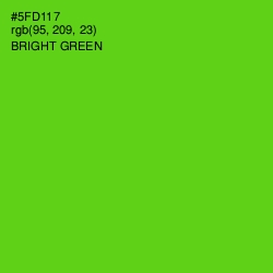 #5FD117 - Bright Green Color Image