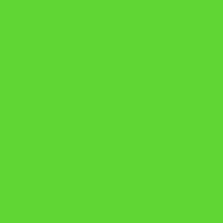 #5FD634 - Bright Green Color Image