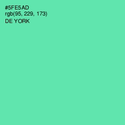 #5FE5AD - De York Color Image