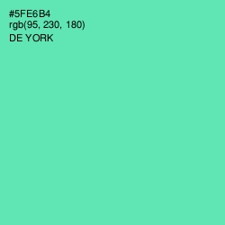 #5FE6B4 - De York Color Image