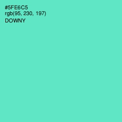 #5FE6C5 - Downy Color Image