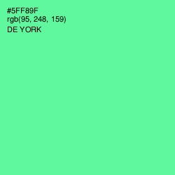 #5FF89F - De York Color Image