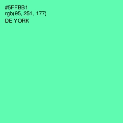 #5FFBB1 - De York Color Image