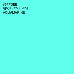 #5FFDEB - Turquoise Blue Color Image