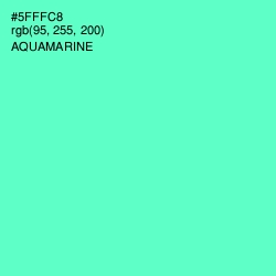 #5FFFC8 - Aquamarine Color Image